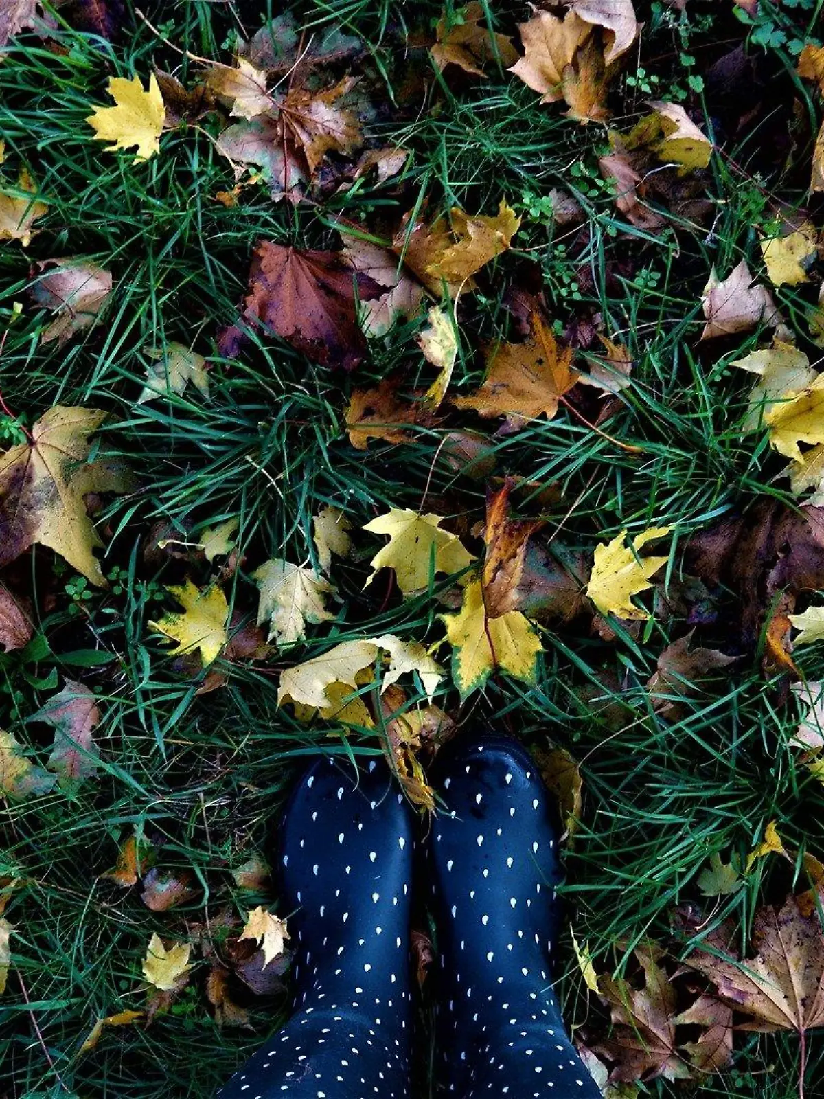 Spaziergang im Herbst