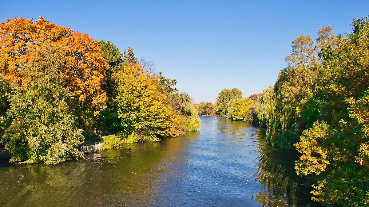 Der Alsterlauf im Herbst
