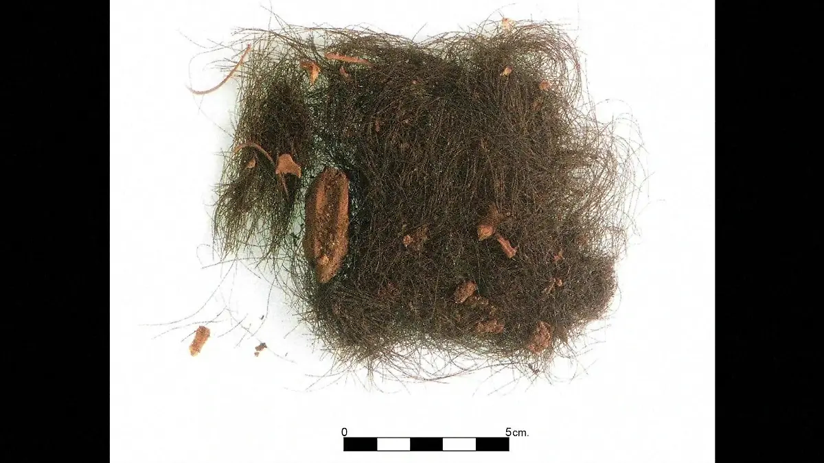 Haarbüschel