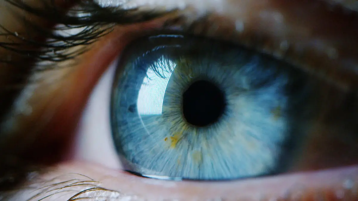 Gesunde Augen: Viele Menschen gehen zu selten zum Arzt