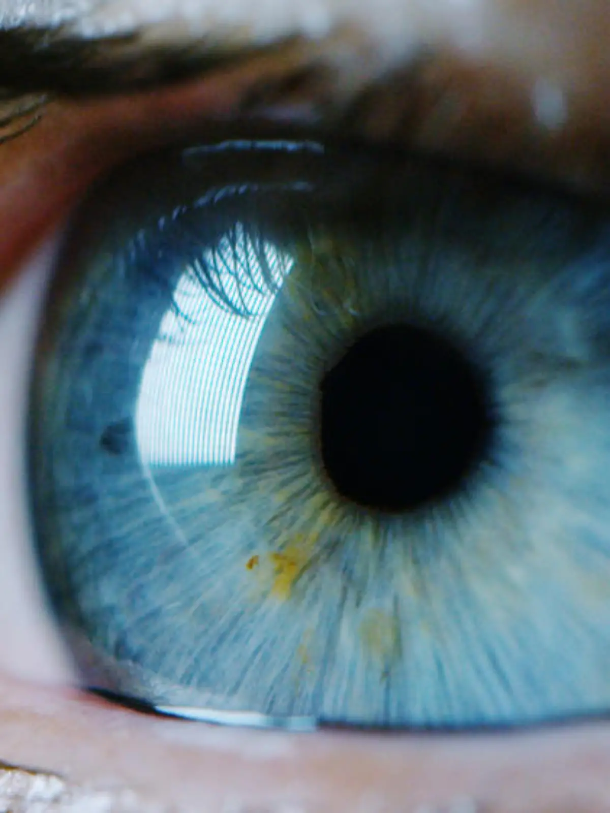 Gesunde Augen: Viele Menschen gehen zu selten zum Arzt