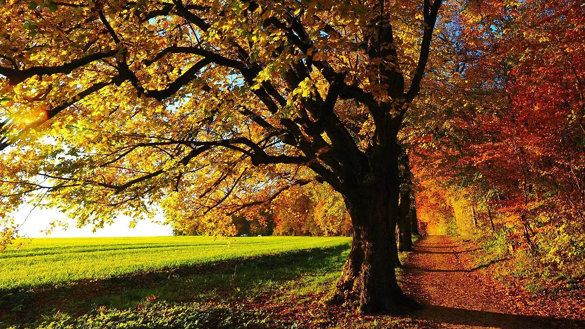 Herbstspaziergang