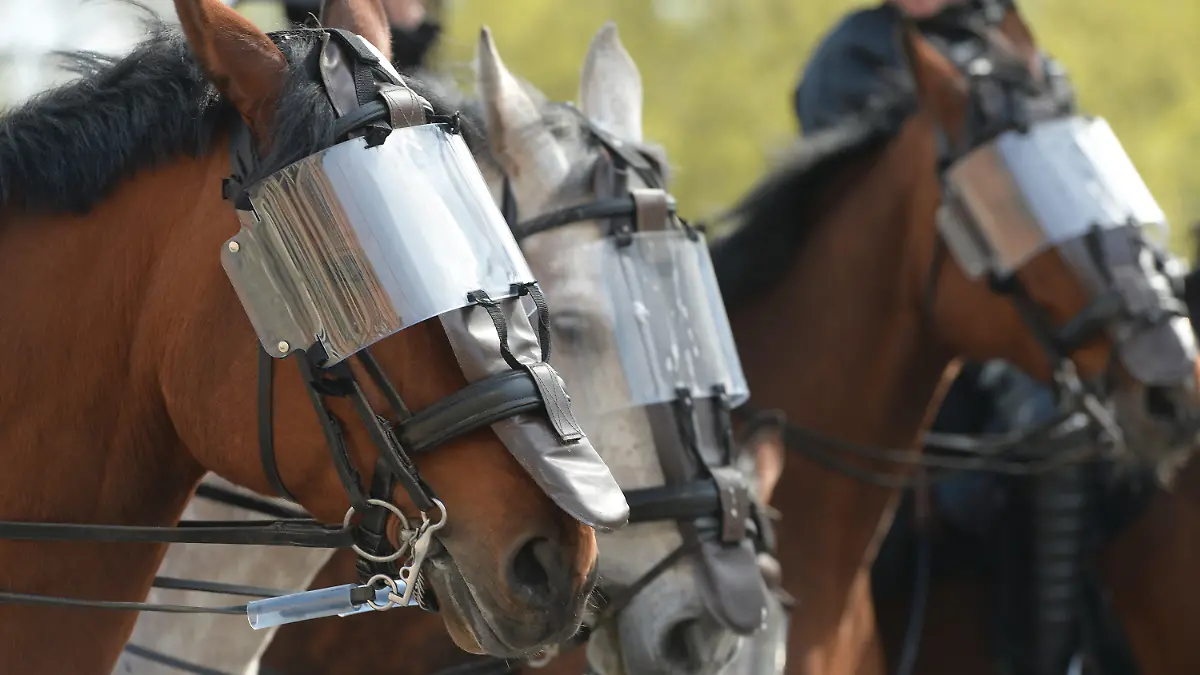 ARCHIV - 27.04.2013, Hamburg: Die Pferde der Polizei-Reiterstaffel tragen Schutzvisiere während eines Demonstrationszugs. Die Suche der Hamburger Polizei nach neuen Pferden für ihre Reiterstaffel hat eine rege Diskussion in sozialen Medien ausgelöst. (zu dpa «Warum nur Wallache? - User hinterfragen Pferdesuche der Polizei») Foto: Marcus Brandt/dpa +++ dpa-Bildfunk +++