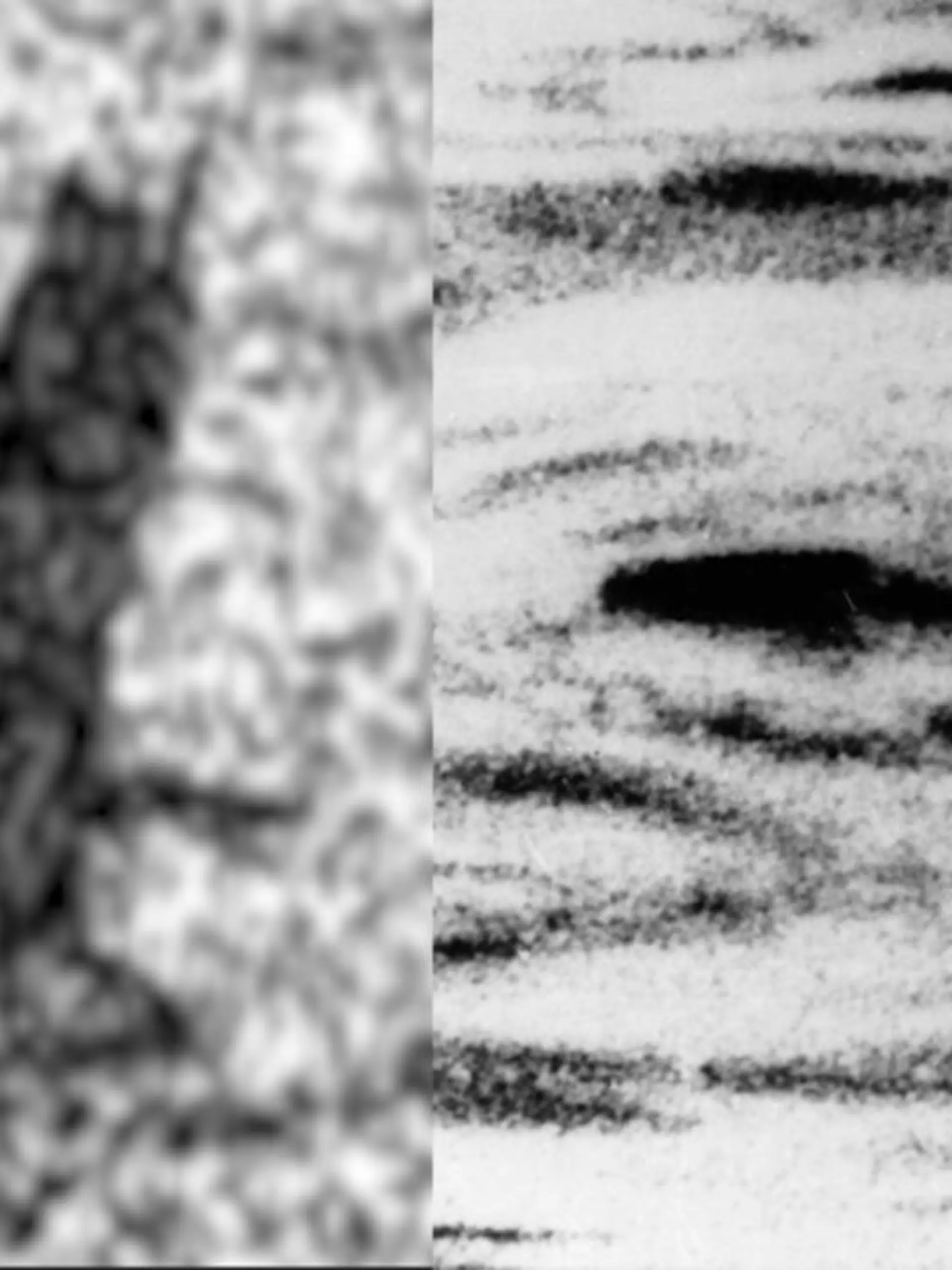 Um Nessie, das Monster von Loch Ness ranken sich viele Mythen. In unserem Video analysieren wir ein kürzlich aufgetauchtes Foto - kann das wirklich Nessie sein?