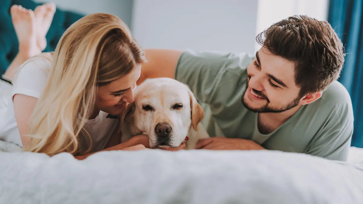 Optimistic young couple lying in bed while having fun with their dog