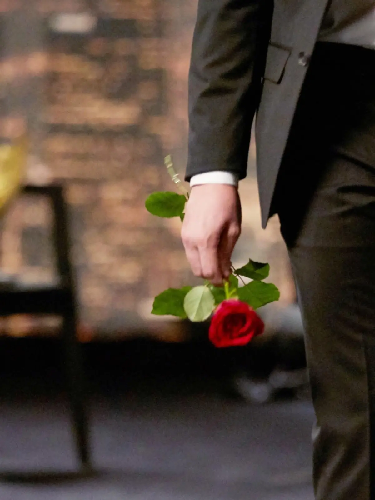 Vorschaubild Der Bachelor
