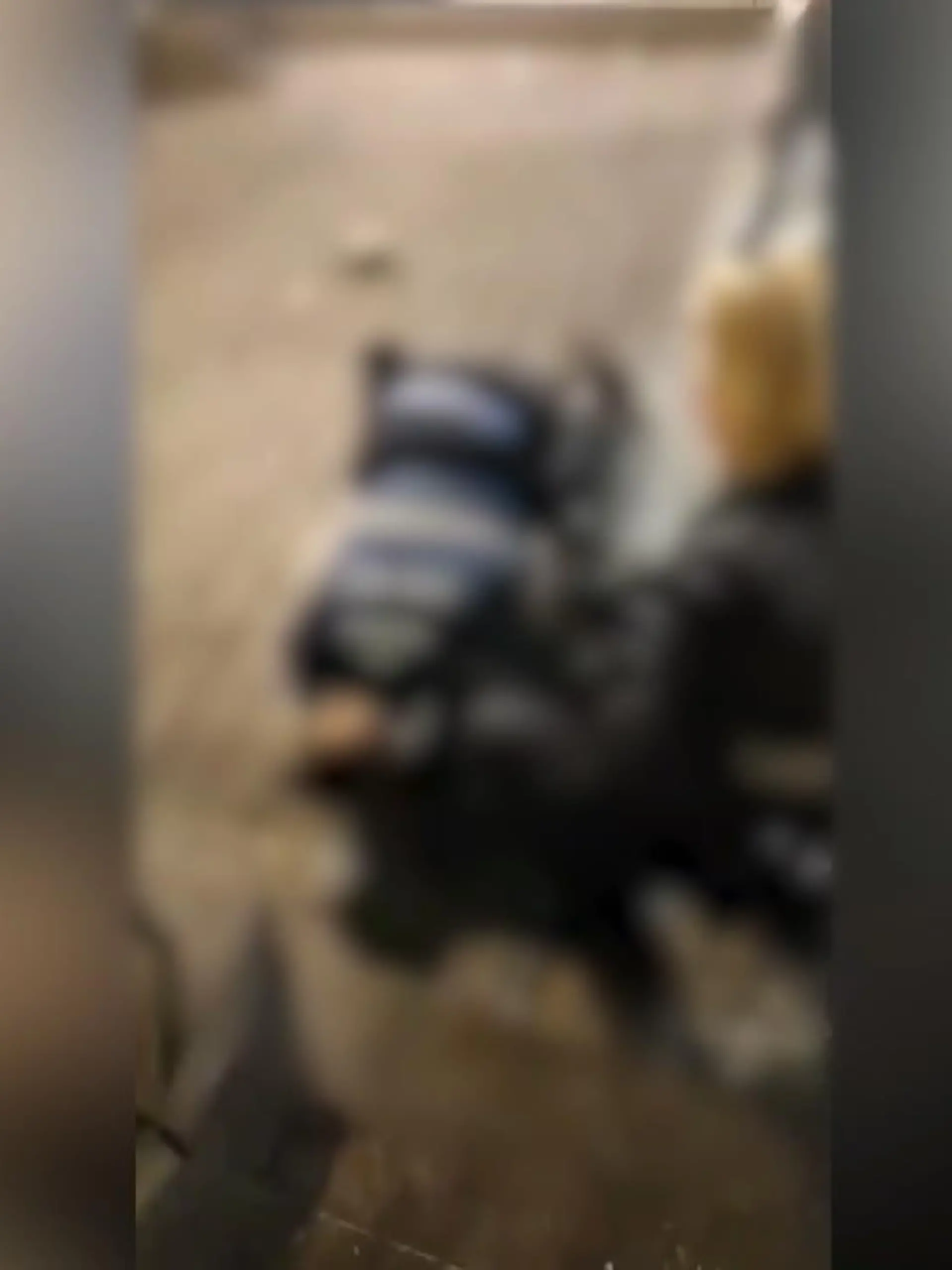 Bild zu: "Video zeigt die Sekunden nach Angriff"