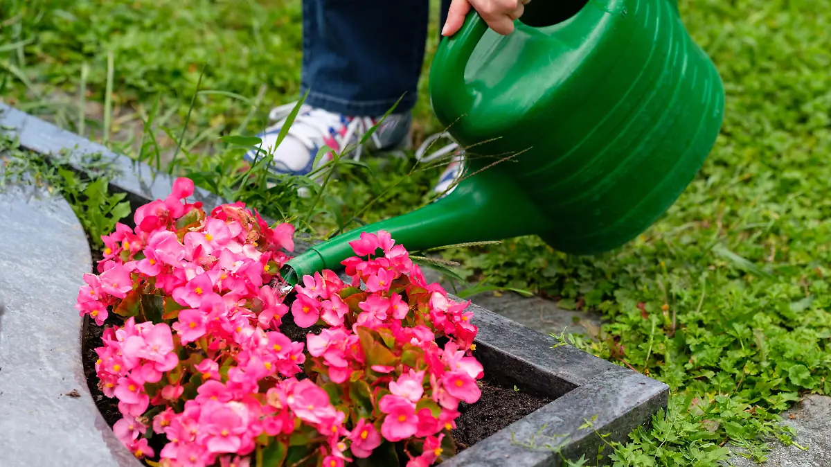 Blumen gießen am Grab