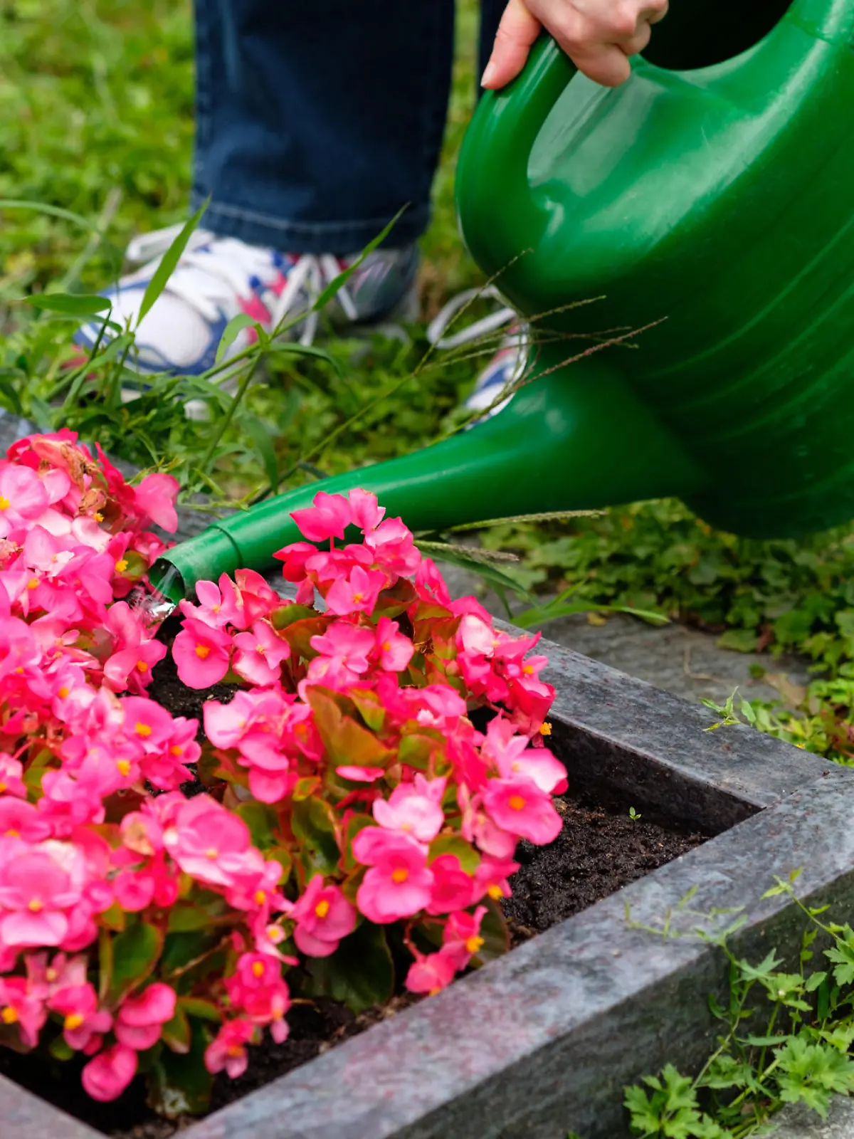 Blumen gießen am Grab