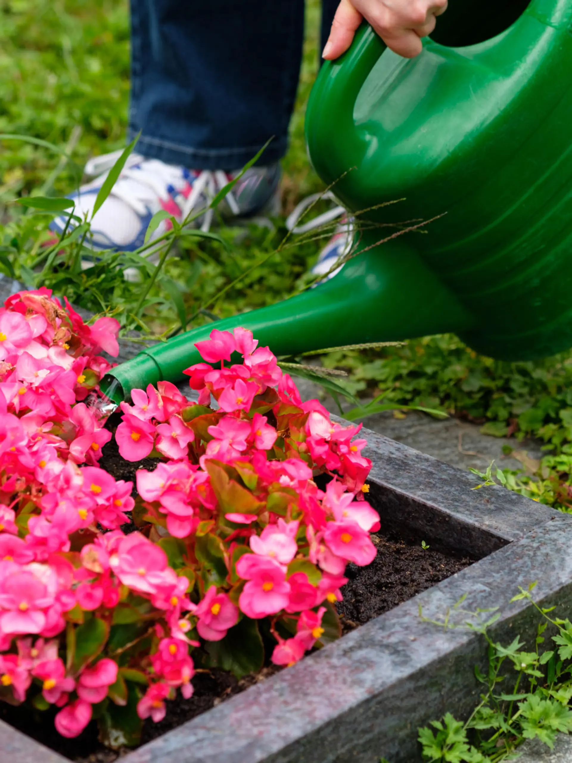 Blumen gießen am Grab
