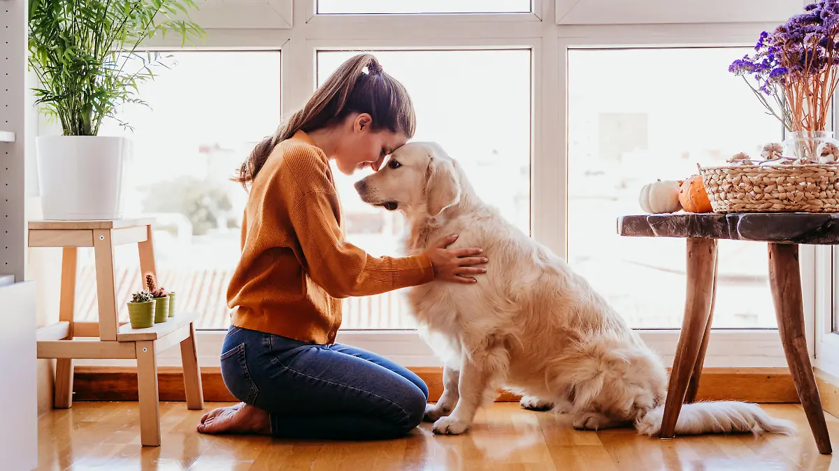 Frauchen und Hund kuscheln Gesicht an Gesicht.