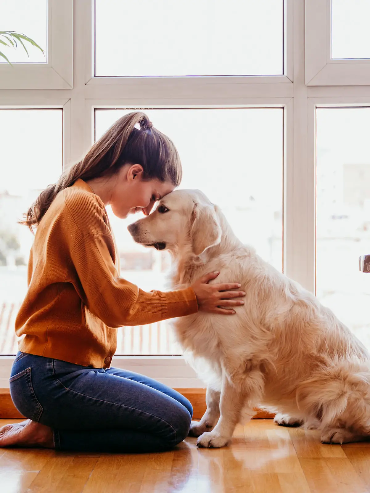 Frauchen und Hund kuscheln Gesicht an Gesicht.