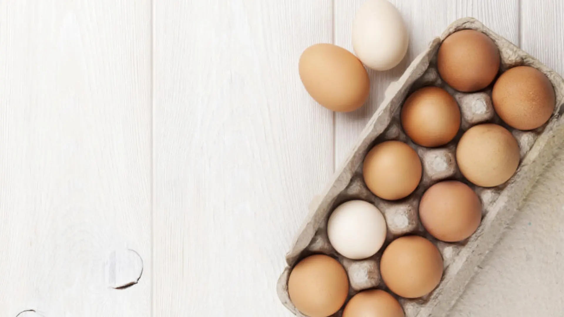 28 Eier in 6 Tagen - was macht das mit dem Körper? Schädlich oder doch gesund?