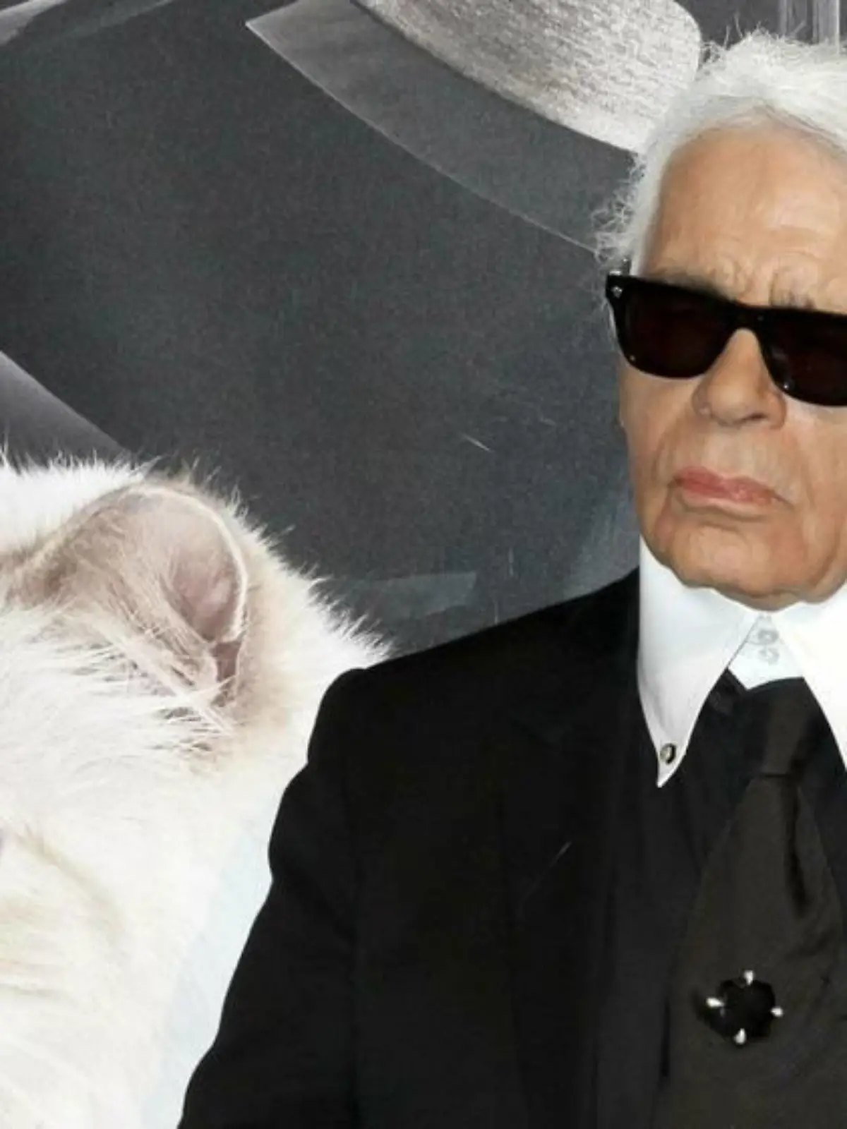 Karl Lagerfelds Katze Choupette wirbt für Münchner Start-up
