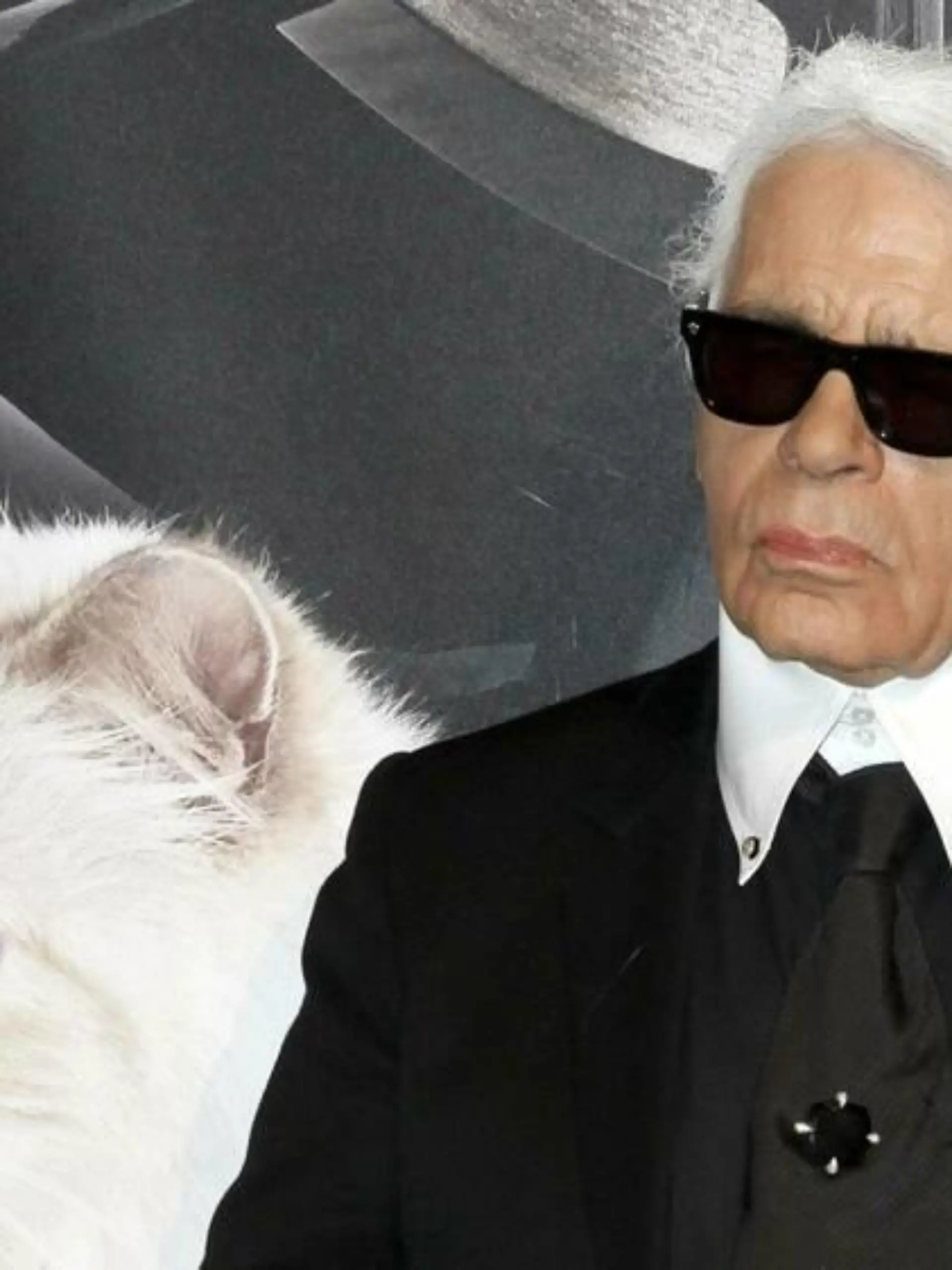 Karl Lagerfelds Katze Choupette wirbt für Münchner Start-up