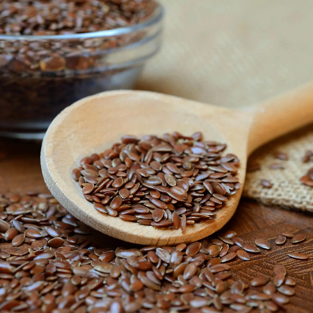 Leinsamen Logo von Leinsamen