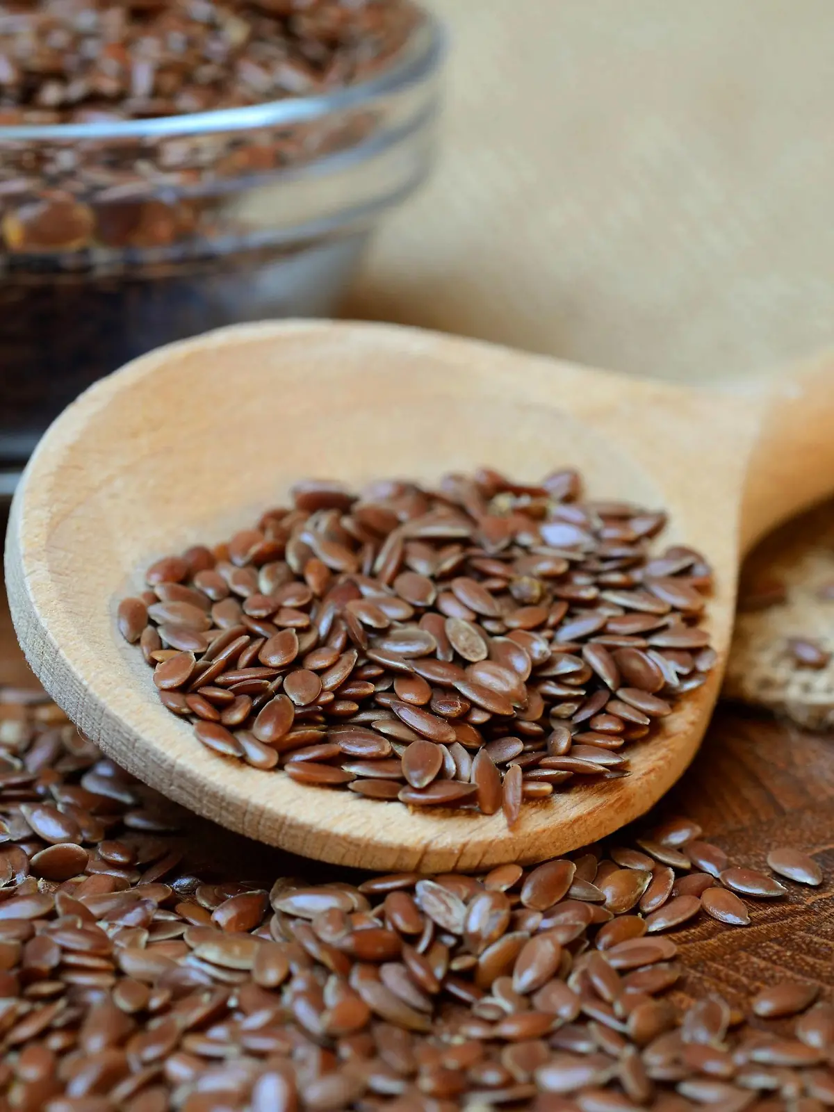 Leinsamen mit Kochloeffel / (Linum usitatissimum), Saatleinen, Saatlein | Verwendung weltweit