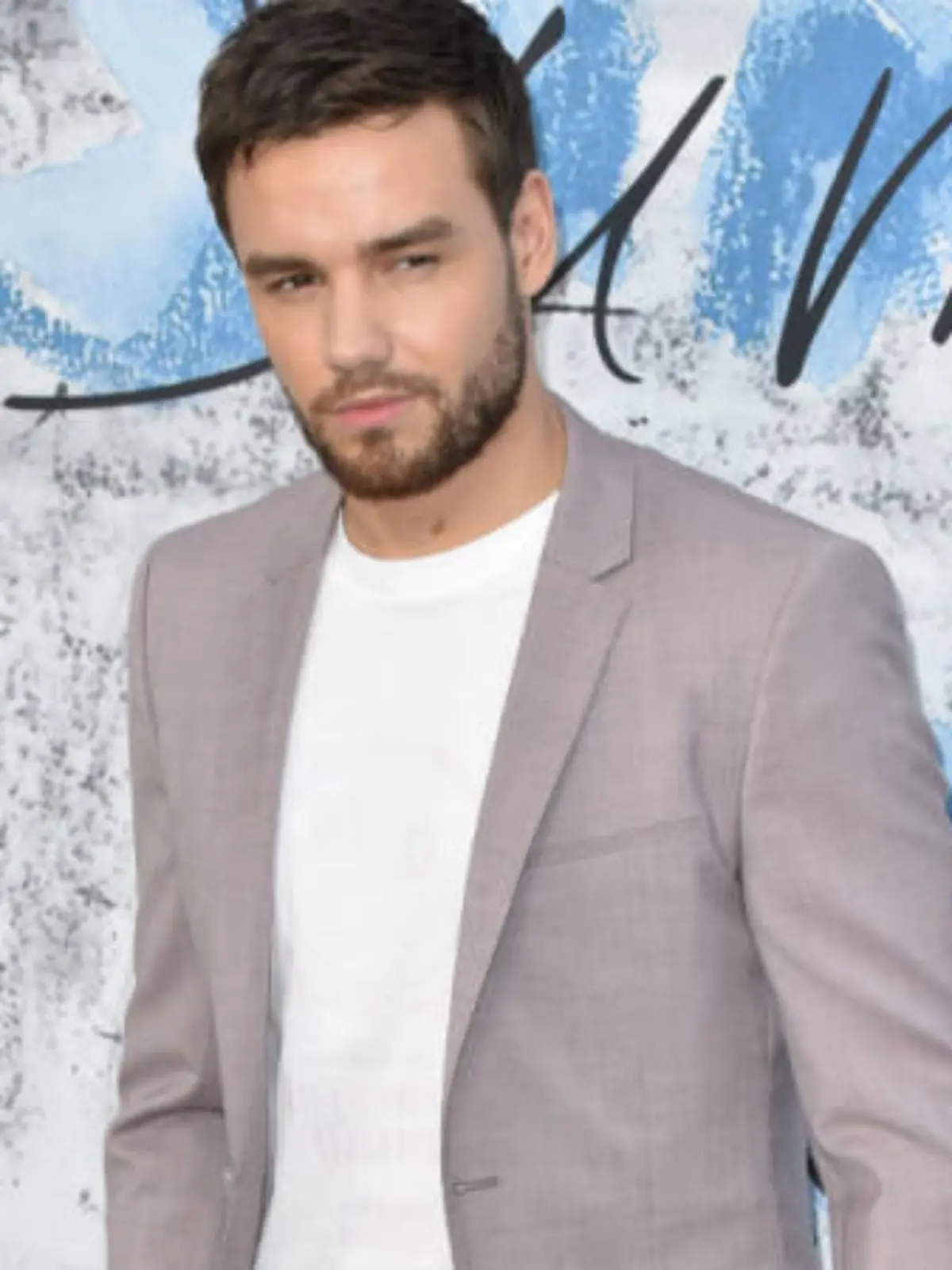 Liam Payne: Hagrid-Hütte im Garten