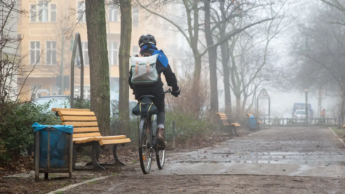 Ein Radfahrer faehrt am 14.12.2015 in Berlin im Nebel durch eine Allee. Foto: Florian Schuh