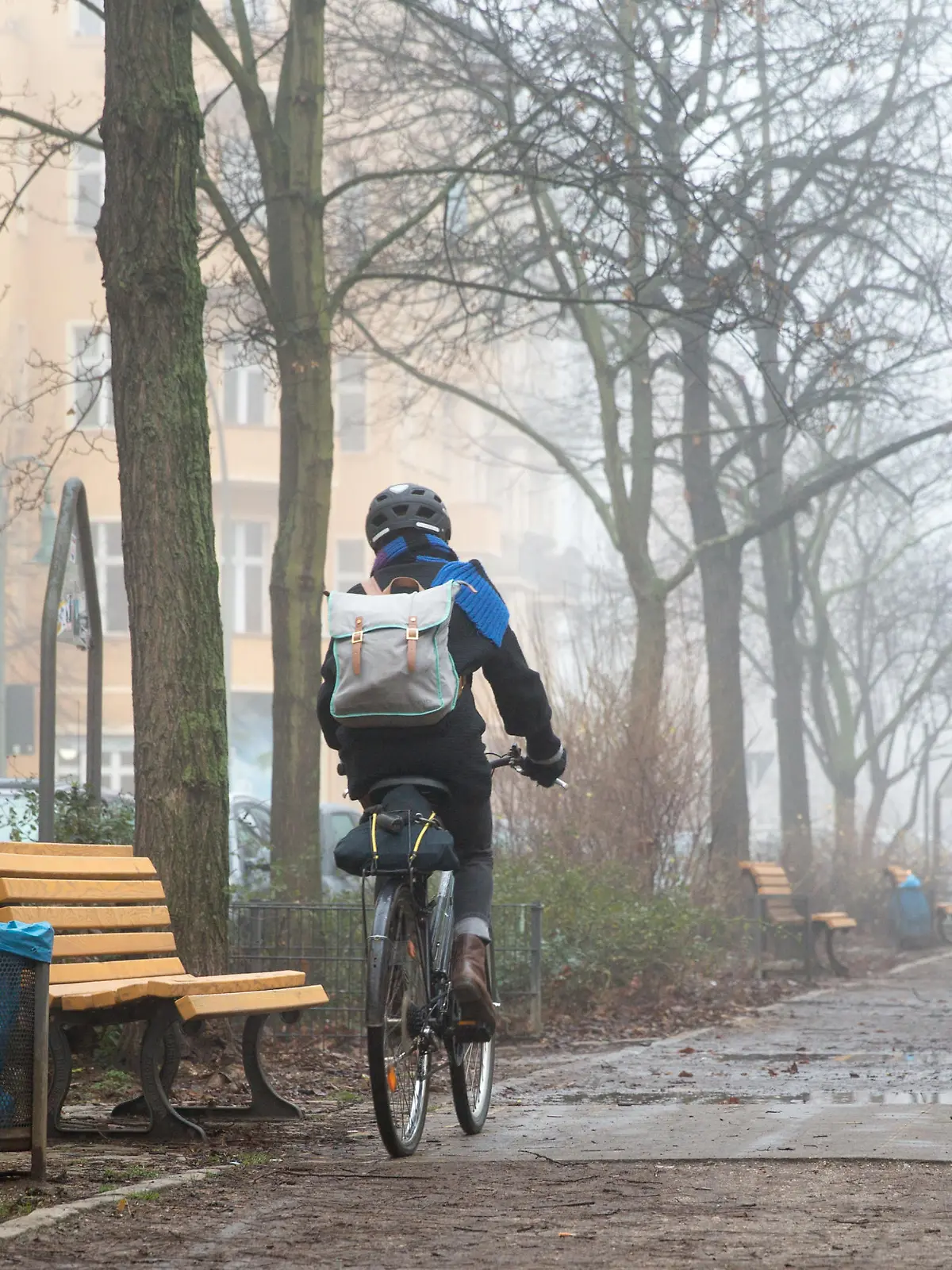 Ein Radfahrer faehrt am 14.12.2015 in Berlin im Nebel durch eine Allee. Foto: Florian Schuh