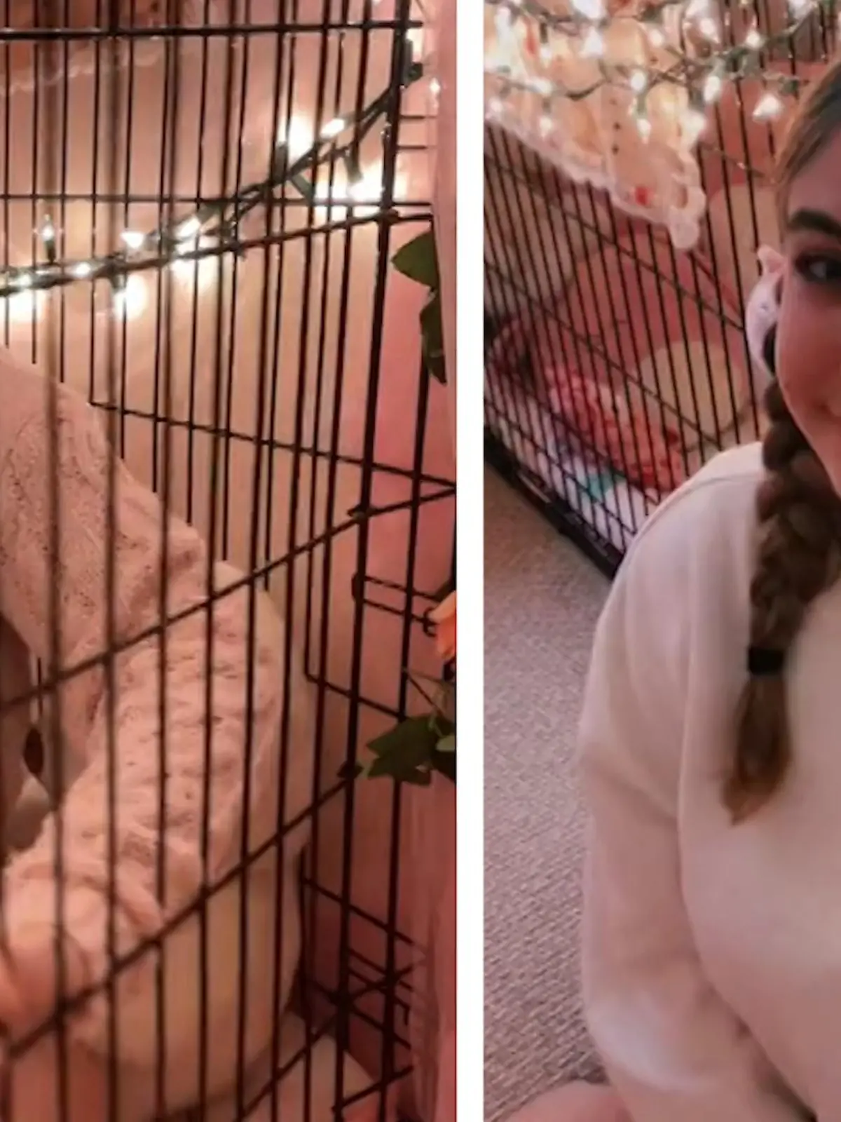 Schon als Teenagerin kämpf Lia Parker aus den USA mit einer Posttrauamtischen  Belastungsstörung (PTSD). Zur Ruhe kommt sie nur im Hundekäfig - im Video.