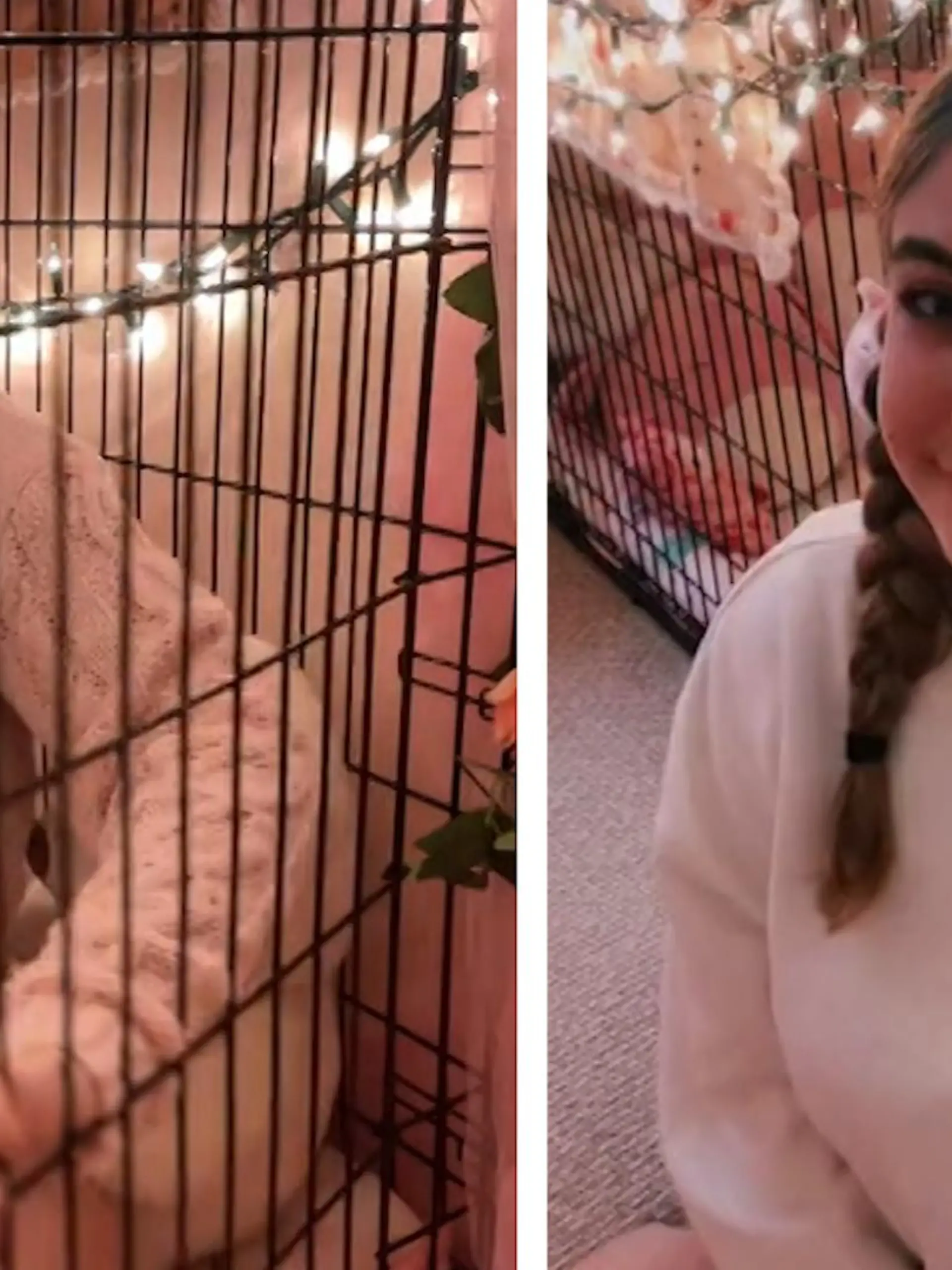 Schon als Teenagerin kämpf Lia Parker aus den USA mit einer Posttrauamtischen  Belastungsstörung (PTSD). Zur Ruhe kommt sie nur im Hundekäfig - im Video.