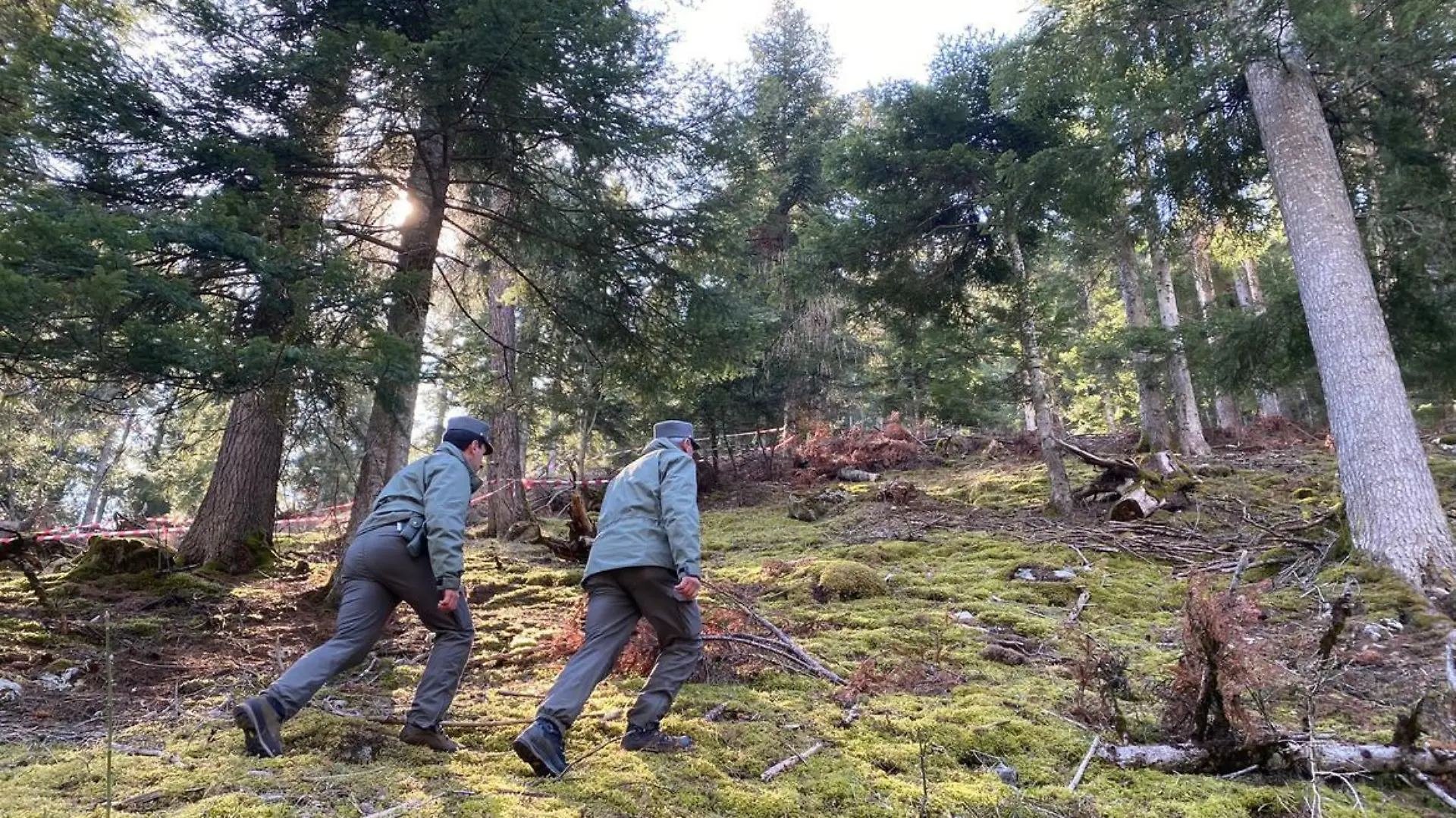 HANDOUT - 06.04.2023, Italien, Caldes: Polizeibeamte gehen durch den Wald vor einem mit Flatterband abgesperrten Bereich. In Norditalien ist ein Jogger möglicherweise von einem Bären angegriffen und getötet worden. Der 26-Jährige wurde in der Ortschaft Caldes tot nahe eines Forstweges gefunden, wie die Provinz Trentinomitteilte. Zu den möglichen Todesursachen wurde die Attacke eines Wildtieres gezählt, wie es hieß. (zu dpa "Verdacht auf Angriff eines Bären - Jogger in Norditalien tot", bestmögliche Qualität) Foto: -/Provinzregierung Trentino/dpa - ACHTUNG: Nur zur redaktionellen Verwendung im Zusammenhang mit der aktuellen Berichterstattung und nur mit vollständiger Nennung des vorstehenden Credits +++ dpa-Bildfunk +++