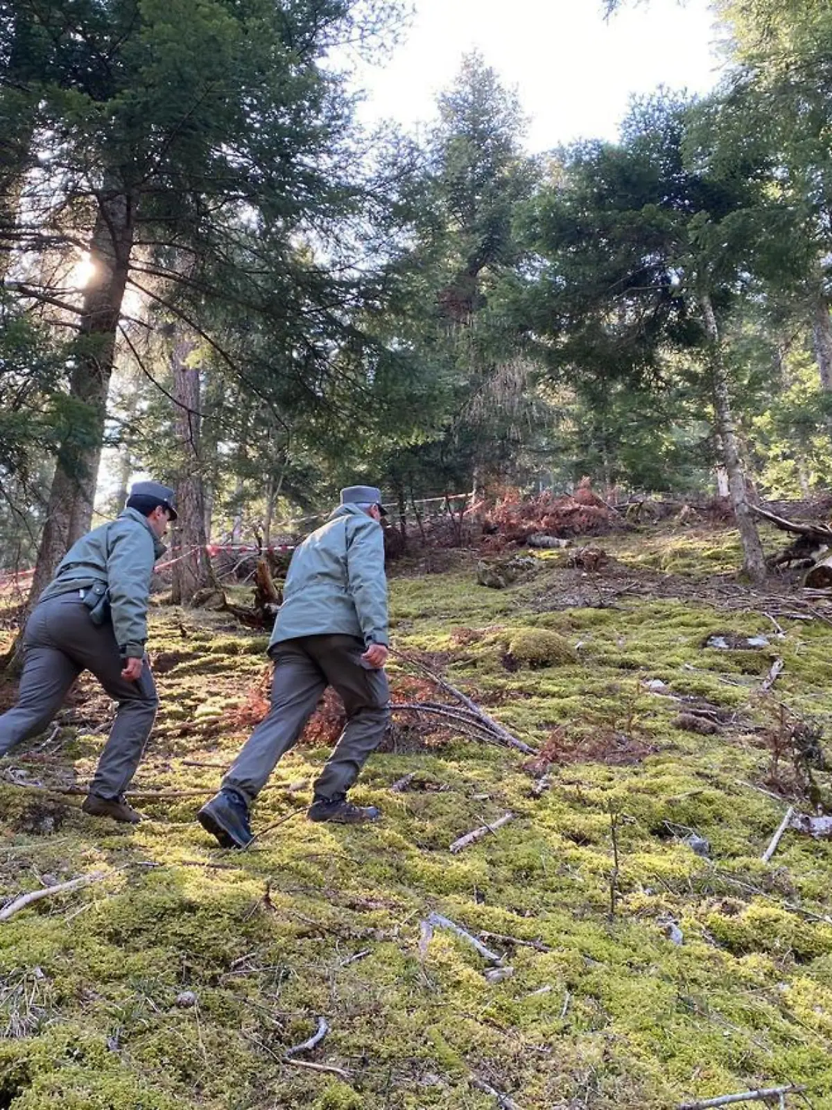 HANDOUT - 06.04.2023, Italien, Caldes: Polizeibeamte gehen durch den Wald vor einem mit Flatterband abgesperrten Bereich.  In Norditalien ist ein Jogger möglicherweise von einem Bären angegriffen und getötet worden. Der 26-Jährige wurde in der Ortschaft Caldes tot nahe eines Forstweges gefunden, wie die Provinz Trentinomitteilte. Zu den möglichen Todesursachen wurde die Attacke eines Wildtieres gezählt, wie es hieß. (zu dpa "Verdacht auf Angriff eines Bären - Jogger in Norditalien tot", bestmögliche Qualität) Foto: -/Provinzregierung  Trentino/dpa - ACHTUNG: Nur zur redaktionellen Verwendung im Zusammenhang mit der aktuellen Berichterstattung und nur mit vollständiger Nennung des vorstehenden Credits +++ dpa-Bildfunk +++
