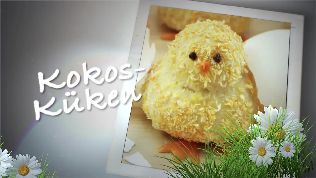 Kokos-Küken