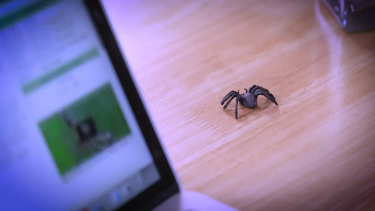 Plastikspinne neben Laptop