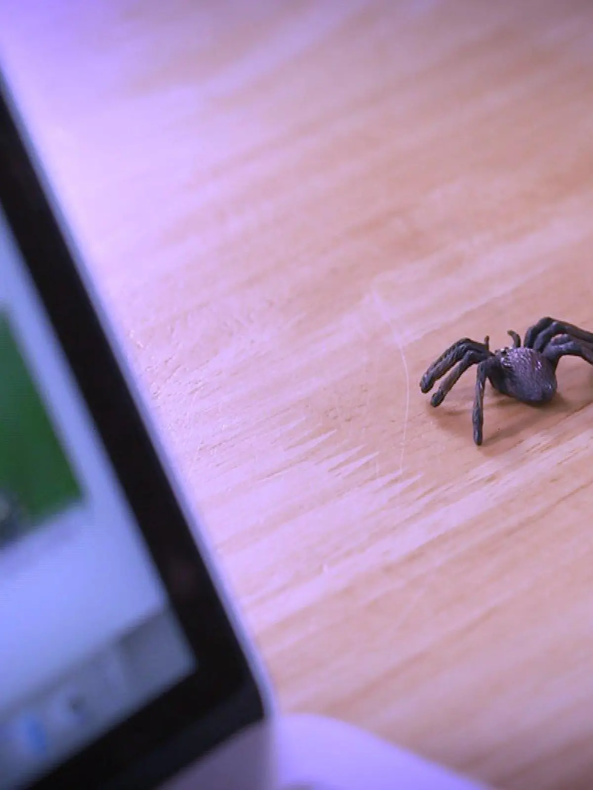 Plastikspinne neben Laptop