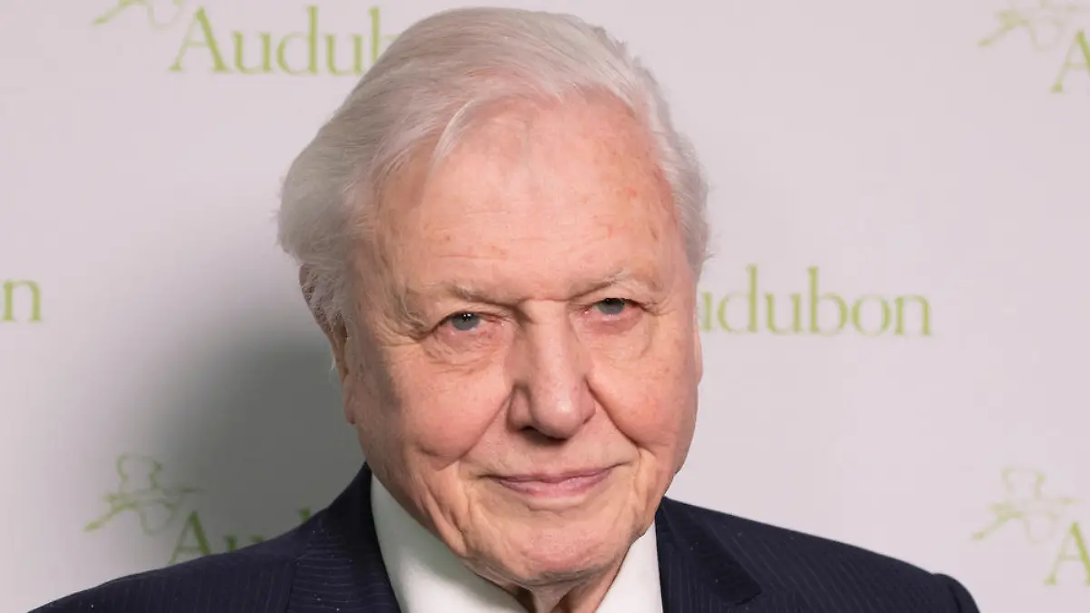Tierfilmer Sir David Attenborough stellt neuen Instagram-Rekord auf