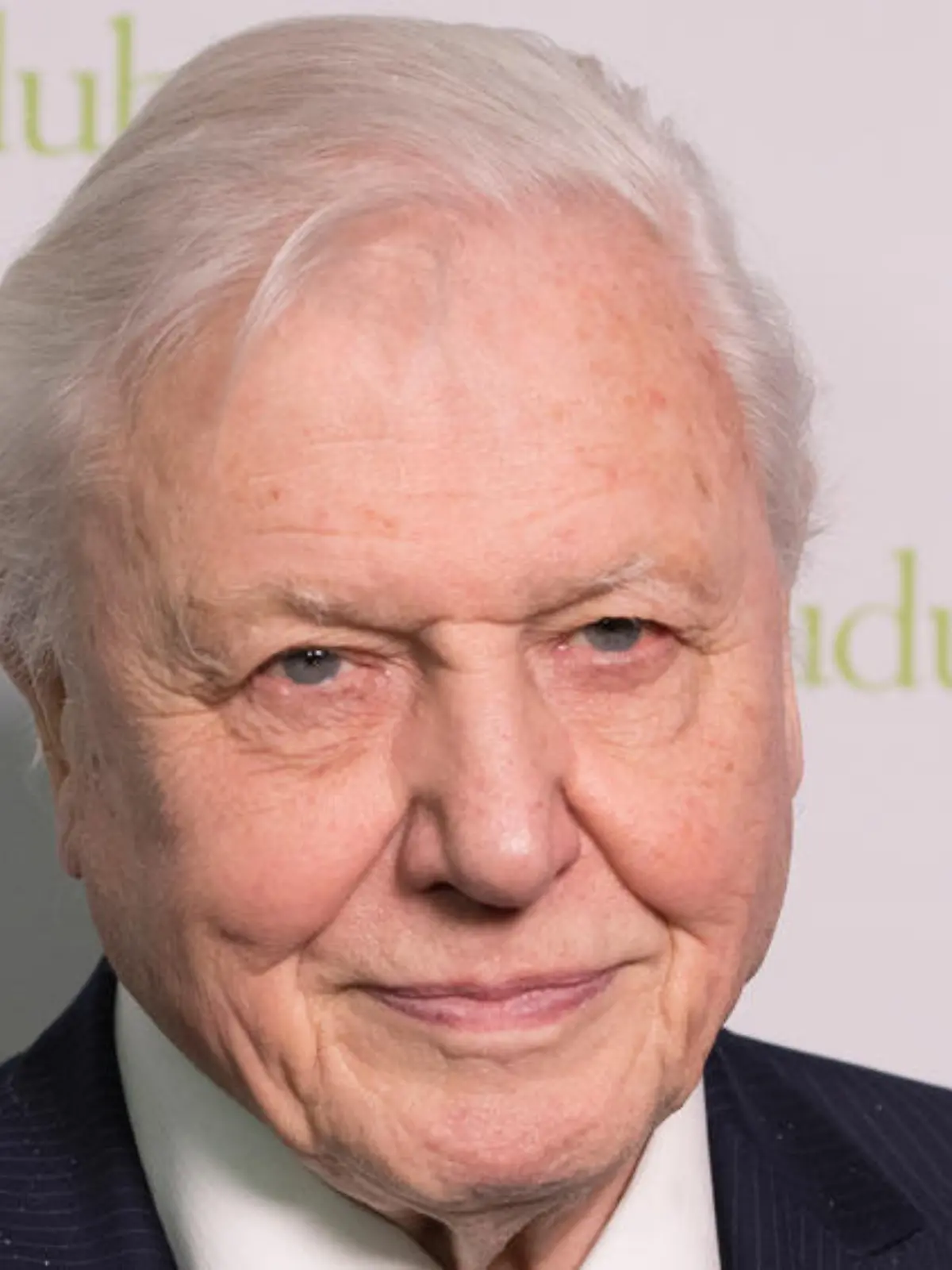 Tierfilmer Sir David Attenborough stellt neuen Instagram-Rekord auf