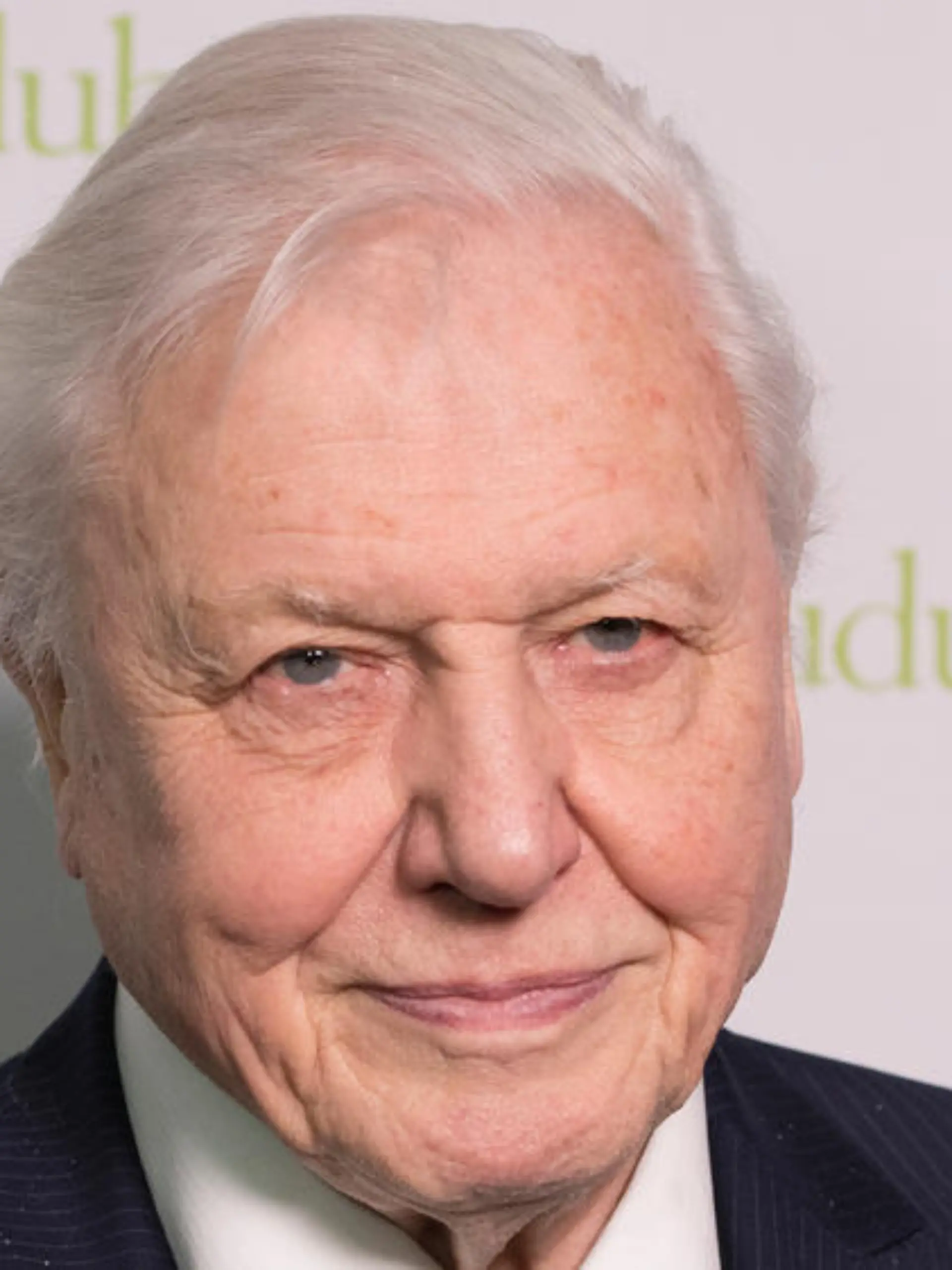 Tierfilmer Sir David Attenborough stellt neuen Instagram-Rekord auf