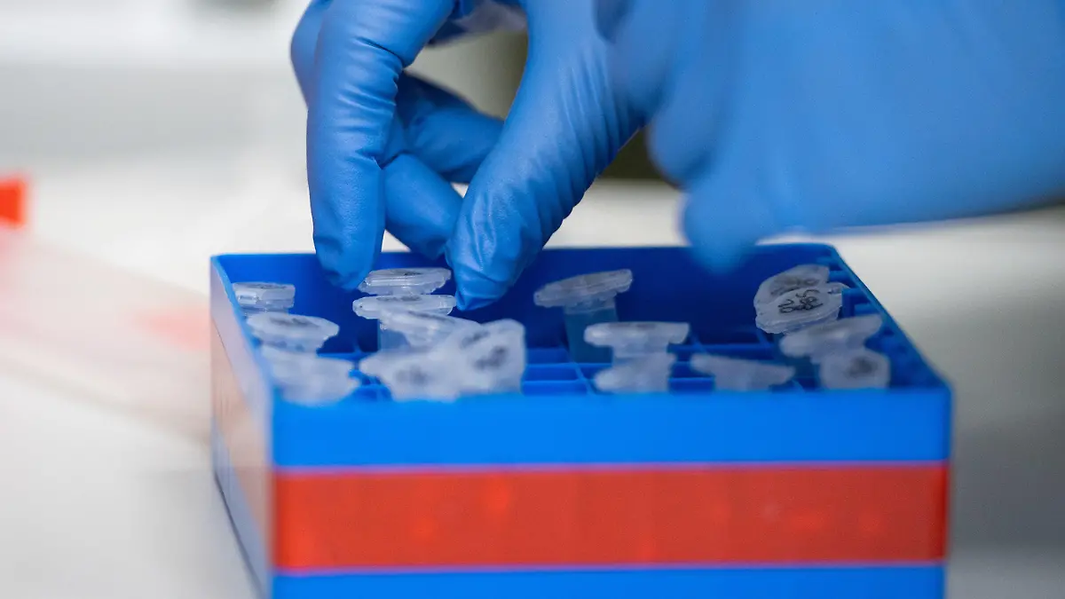 ARCHIV - 23.01.2020, Berlin: Eine Laborantin sortiert im Institut für Virologie an der Charite Berlin Mitte, in dem Untersuchungen zum Coronavirus laufen, Proben. In Deutschland ist erstmals eine Infektion mit dem neuartigen Coronavirus bestätigt worden. Ein Mann aus Bayern habe sich infiziert, teilte ein Sprecher des Gesundheitsministeriums in München mit. Foto: Christophe Gateau/dpa +++ dpa-Bildfunk +++