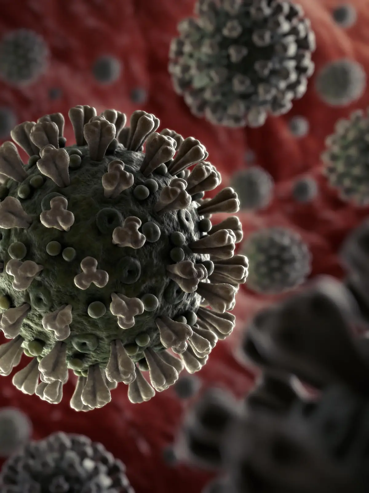 Coronavirus-Zellen