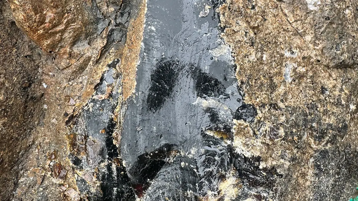 Eine abgebrochene Stelle des mindestens 70 Kilogramm schweren Gesteinsbrockens, den Krabbenfischer André Claußen und sein Team aus Versehen aus der Nordsee gefischt haben.