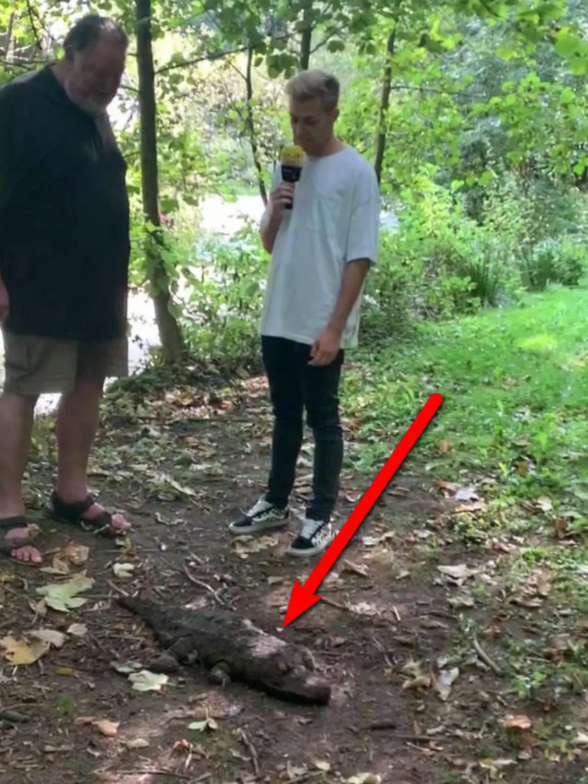 Krokodil
