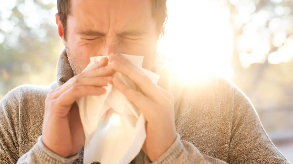 Man blowing his nose Man blowing his nose. *** Man blowing his nose Man blowing his nose PUBLICATIONxINxGERxSUIxHUNxONLY SCIENCExPHOTOxLIBRARY F033/1703