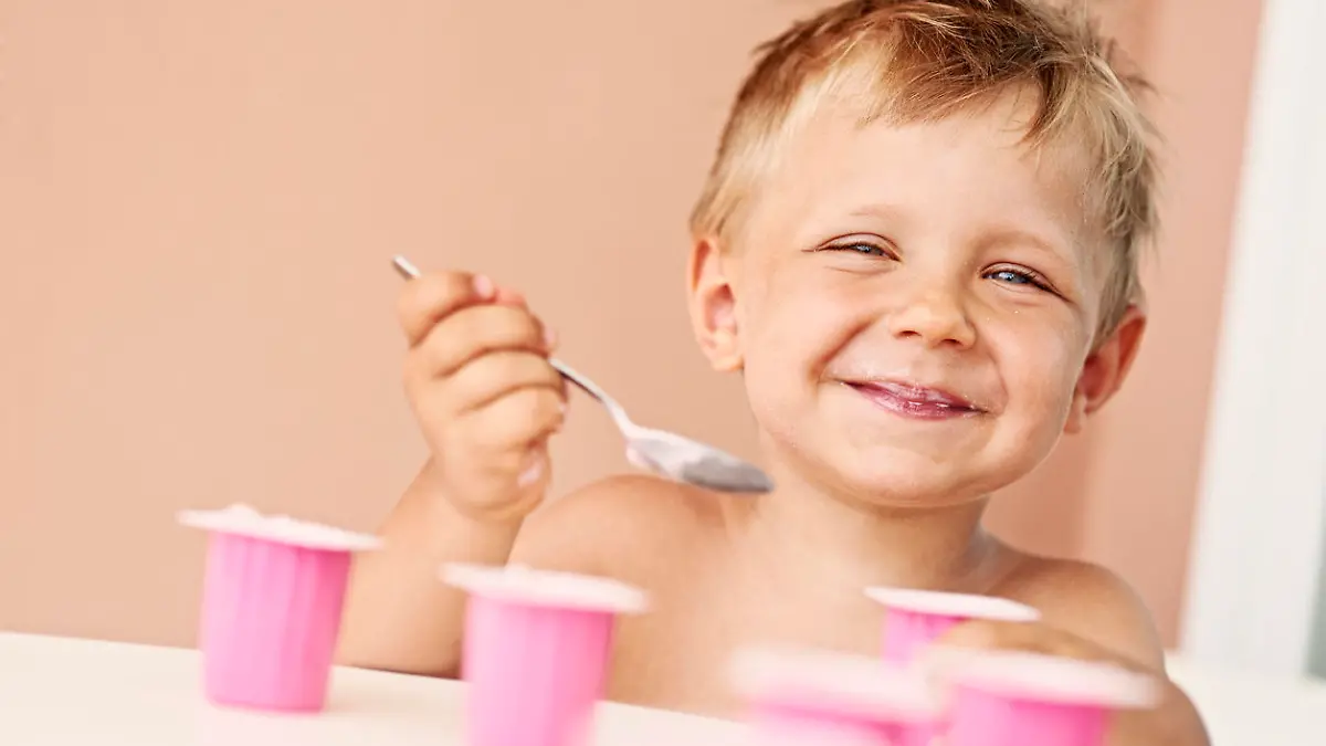 Stiftung Warentest hat 25 Kinderdesserts geprüft