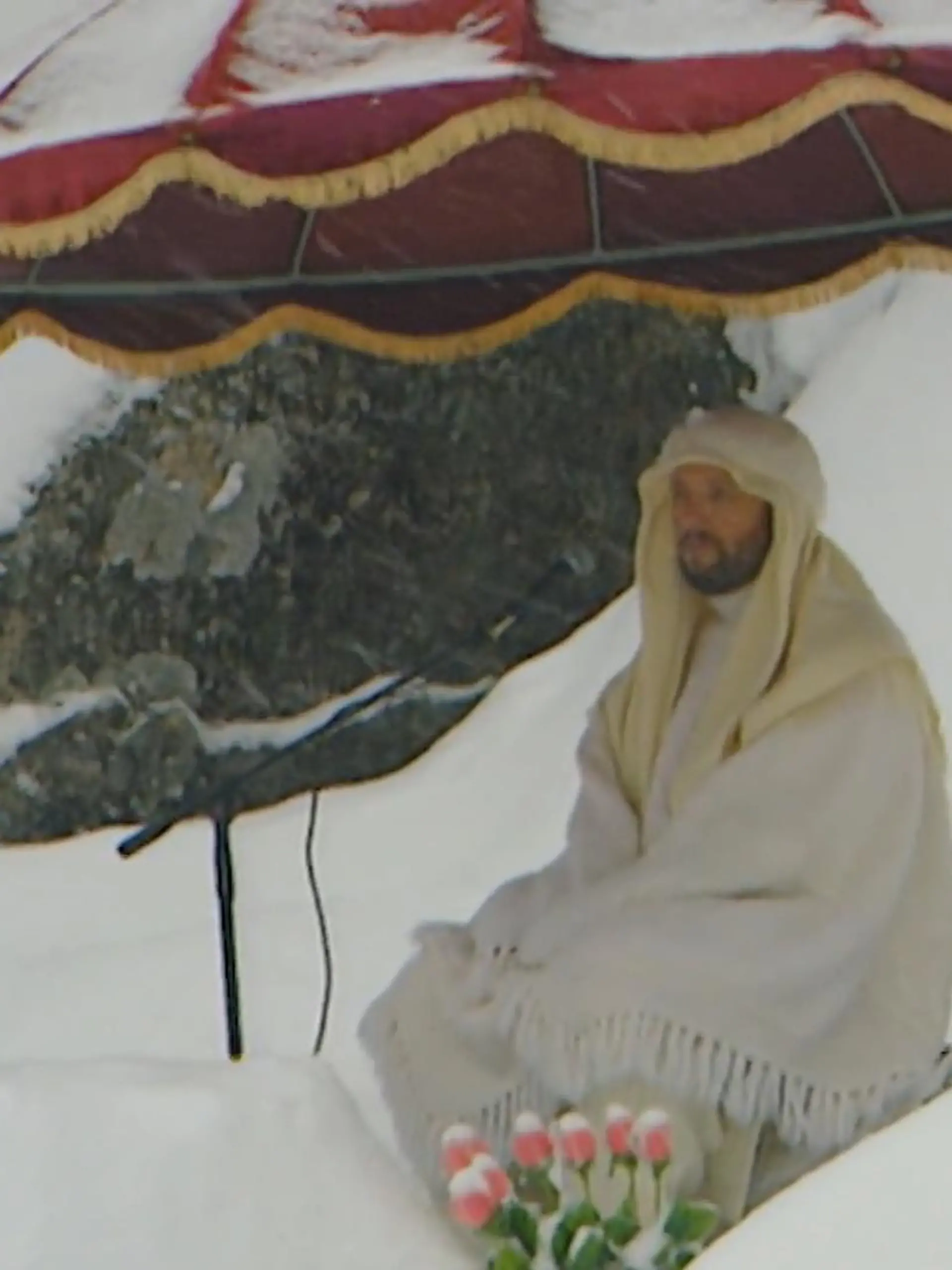 Bild zu: ""Jesus von Sibirien" festgenommen "