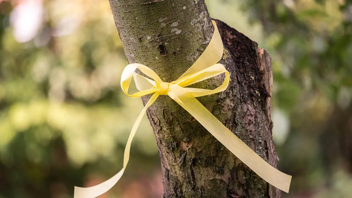 11.09.2020, Niedersachsen, Achternmeer: Das ·Gelbe Band· an einem Apfelbaum. Das Band am Baum soll darauf aufmerksam machen, dass das Obst von allen gepflückt und verspeist werden darf. Foto: Mohssen Assanimoghaddam/dpa +++ dpa-Bildfunk +++
