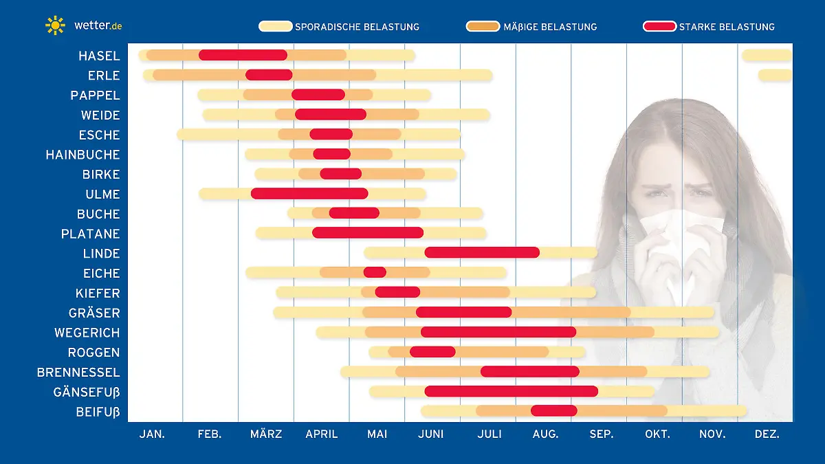 Pollenflugkalender