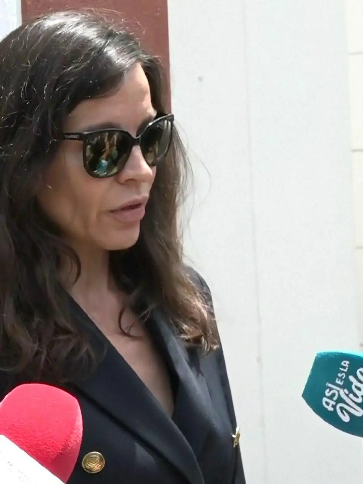 Silvia Bronchalo, Daniel Sanchos Mutter