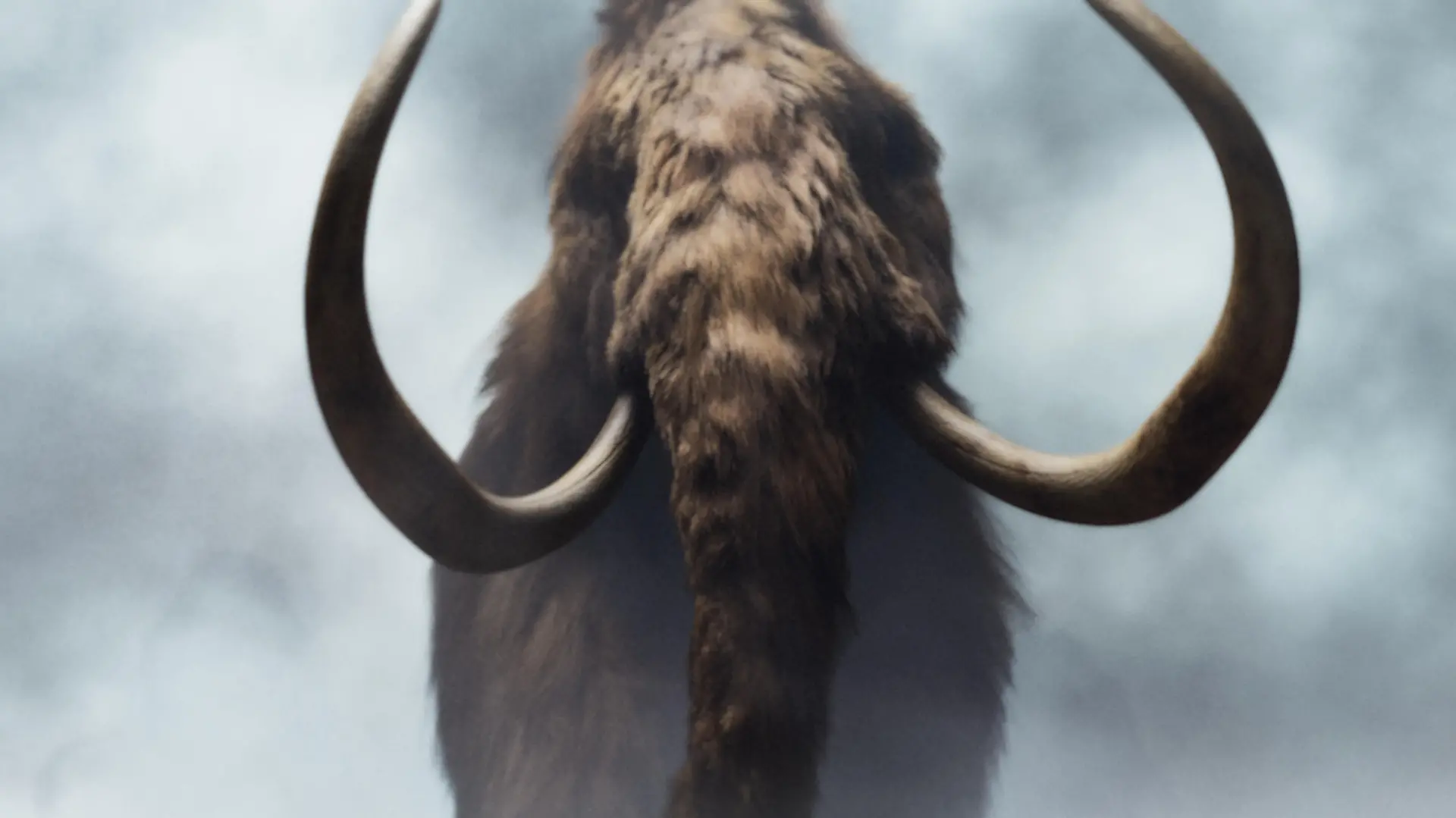Das Mammut ist vor 4.000 Jahren ausgestorben und gehörte zur Gattung der Elefanten.