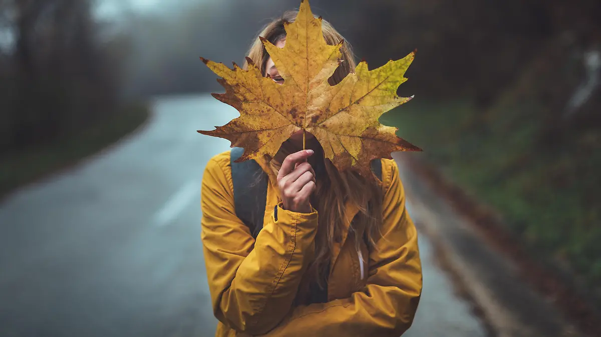 Herbst-Outfit für Regentage.