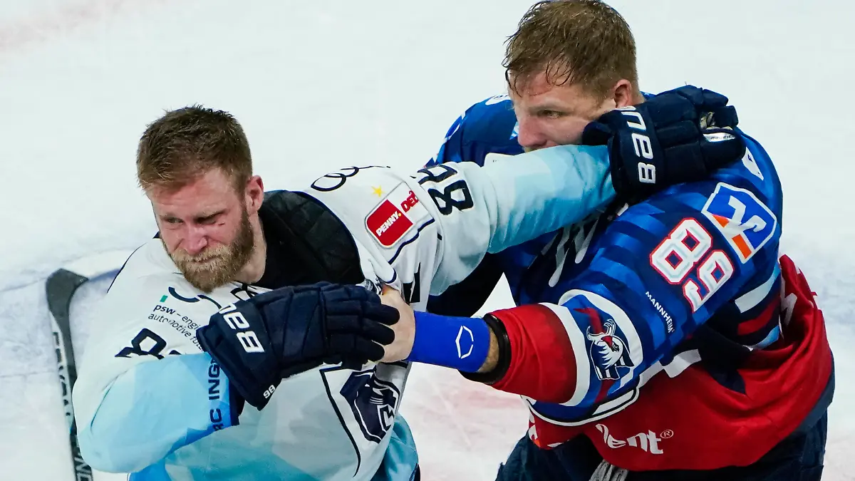 Eishockey, DEL, Adler Mannheim - ERC Ingolstadt, Meisterschaftsrunde, Halbfinale, 2. Spieltag, SAP-Arena. Ingolstadts Daniel Pietta (l) und Mannheims David Wolf haben eine Auseinandersetzung.