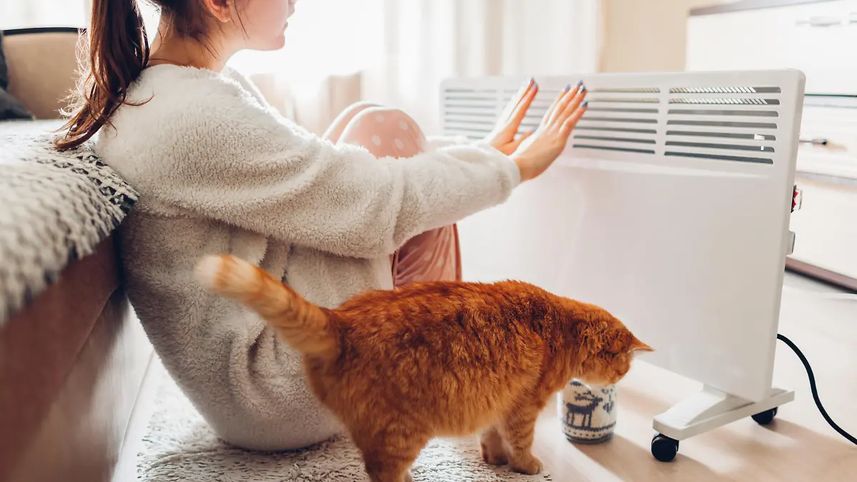 Using heater at home in winter. Woman warming her hands sitting by device with cat and wearing warm clothes. Heating season.