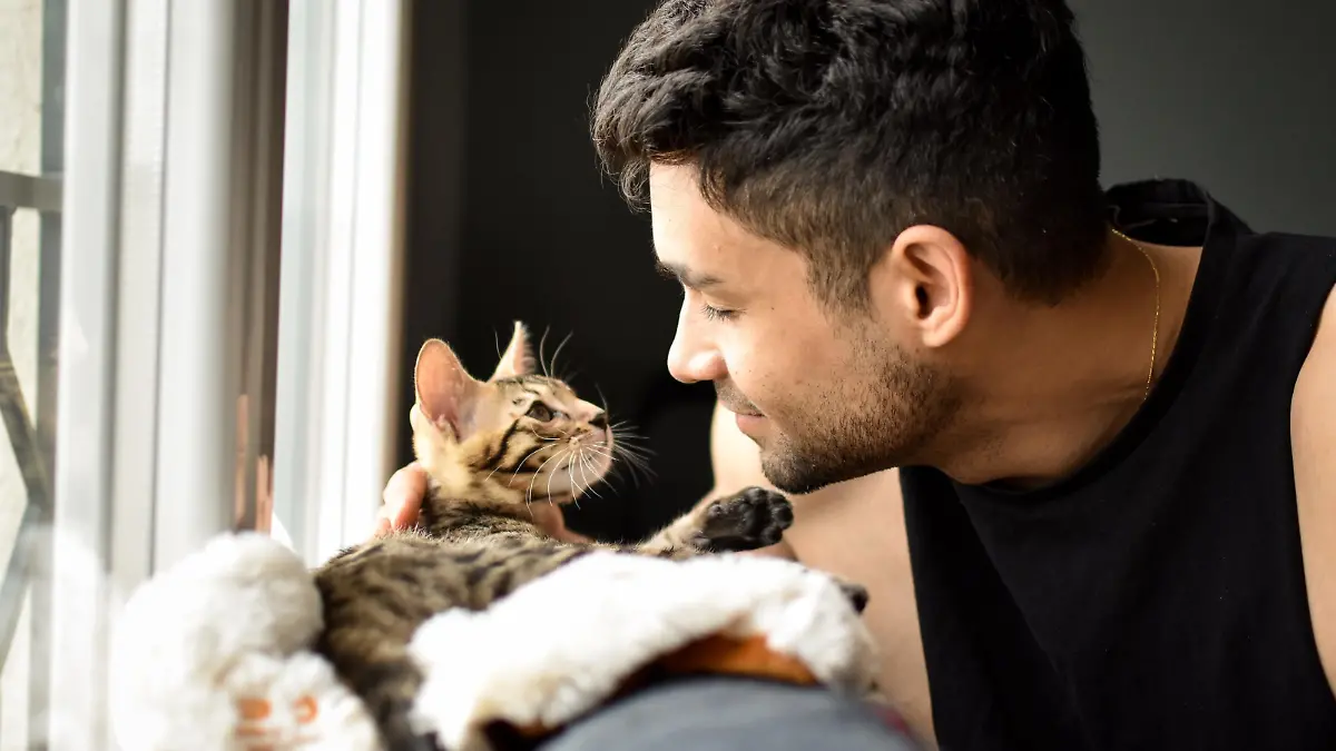 Mann streichelt seine Katze