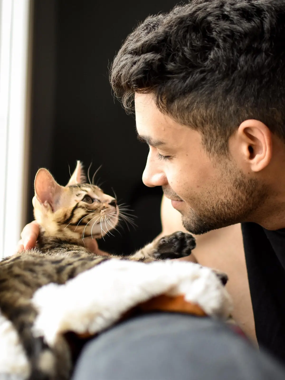 Mann streichelt seine Katze